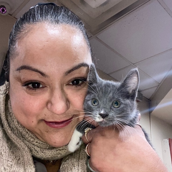 Meet your Posher, Nora - Picture 12 of 16